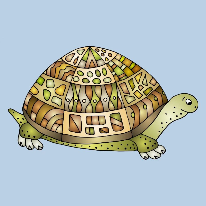 Tortoise