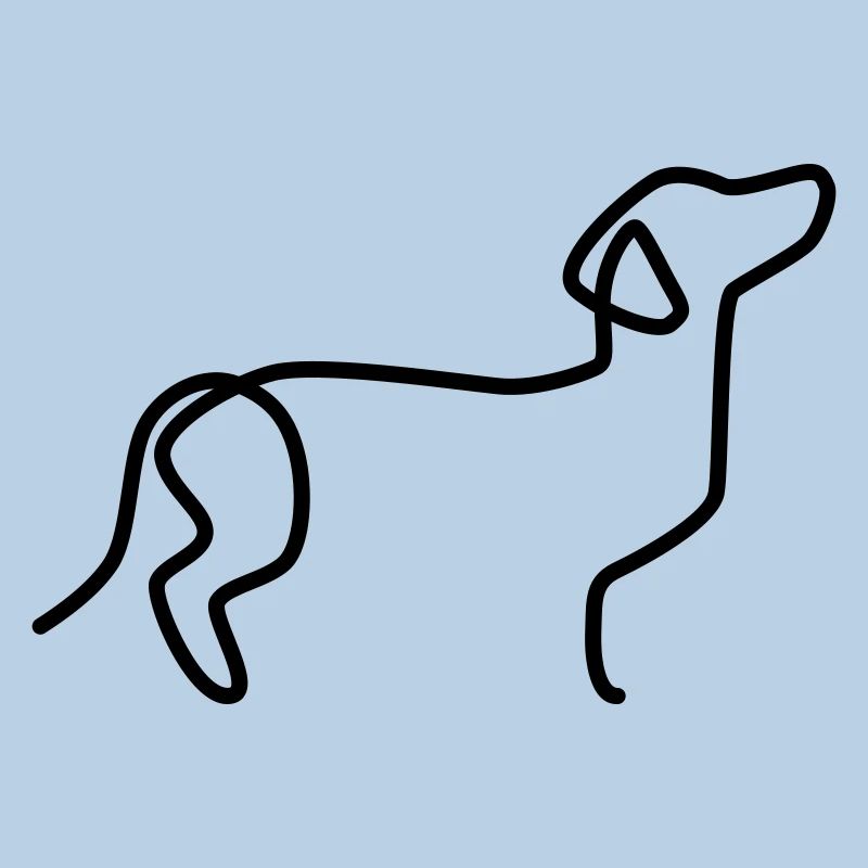 Dachshund