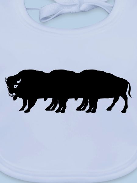 bisons