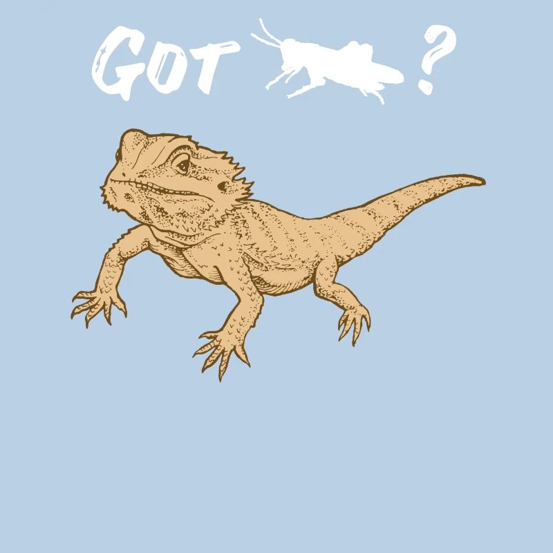 Bearded dragon asks for Locust Reptile Lizard