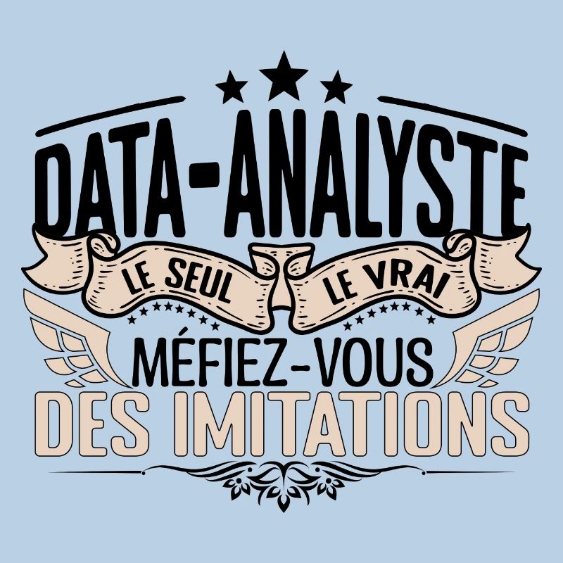 Data Analyste cadeau Data Analyste le vrai Data An