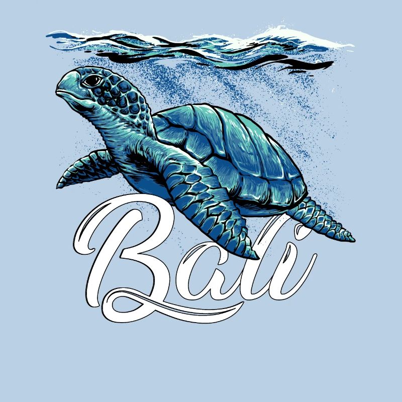 Bali - Indonesia - Turtle
