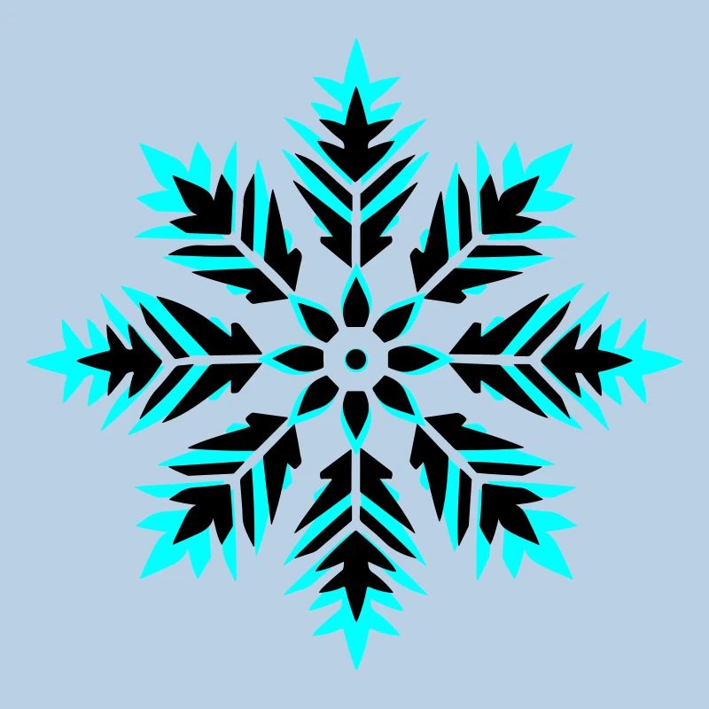 Snowflake Icon Winter