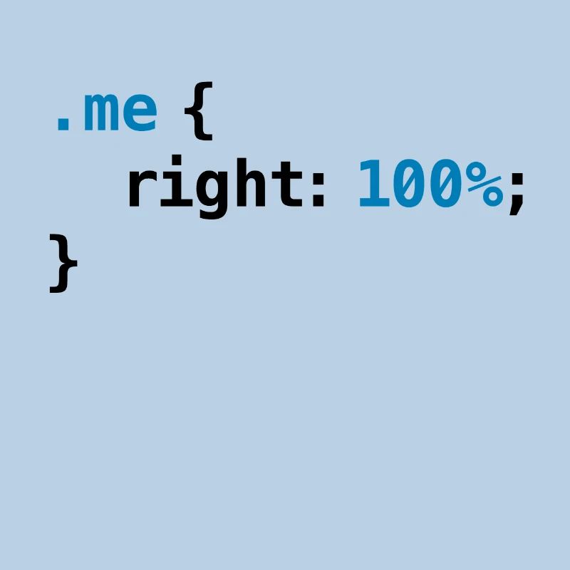 geek drôle - CSS droit 100% | Programmer Nerd Tech