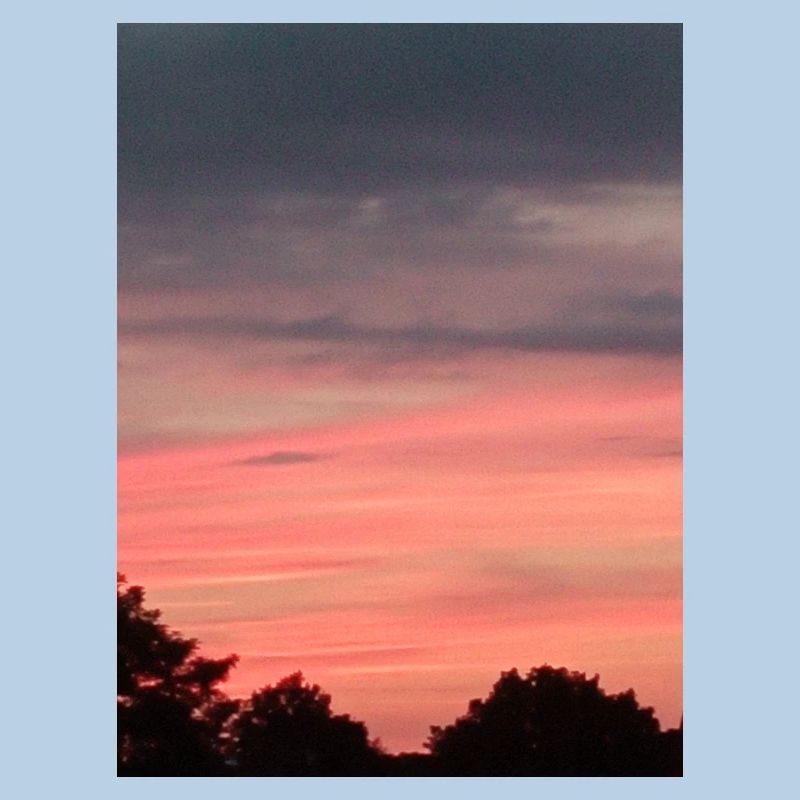 Sun Sunset Trees Pink Clouds