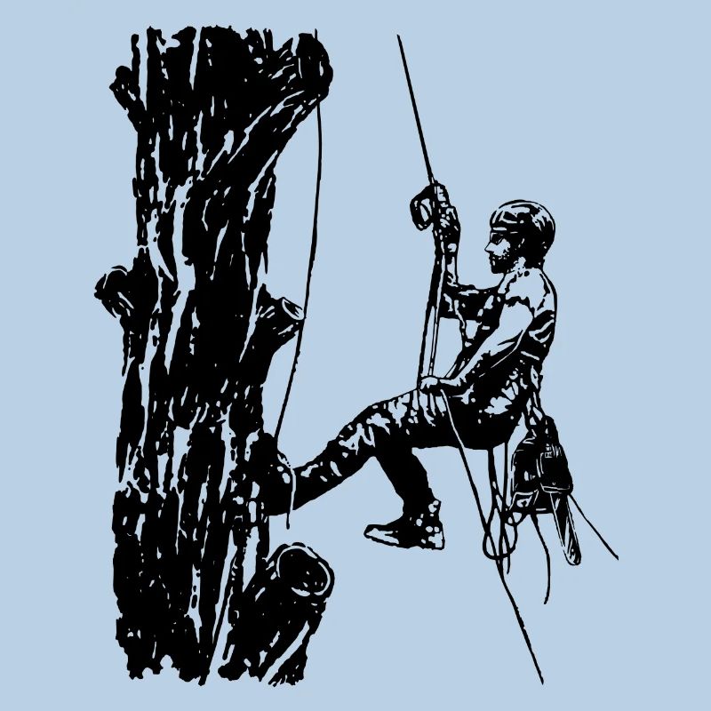Arborist Baumkletterer an Eiche (Monochrome)