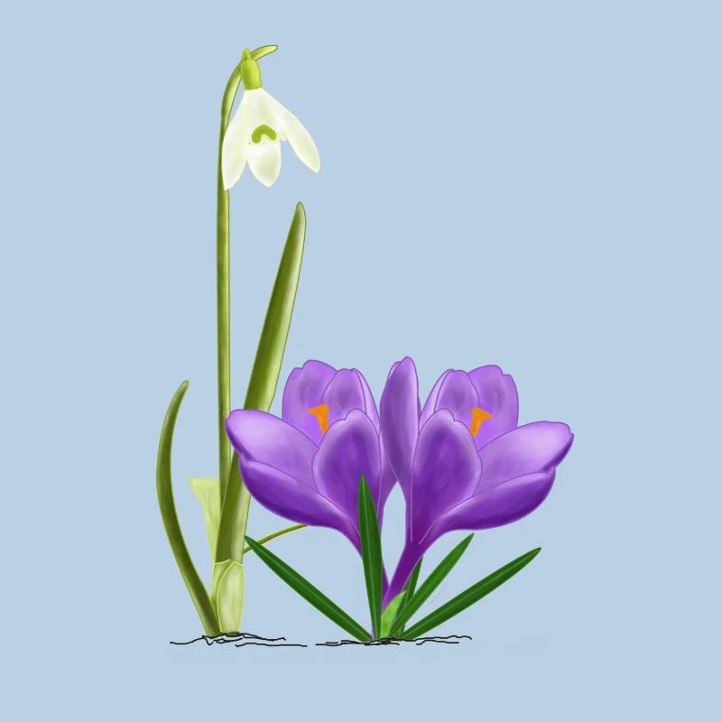 Snowdrops and crocuses, spring
