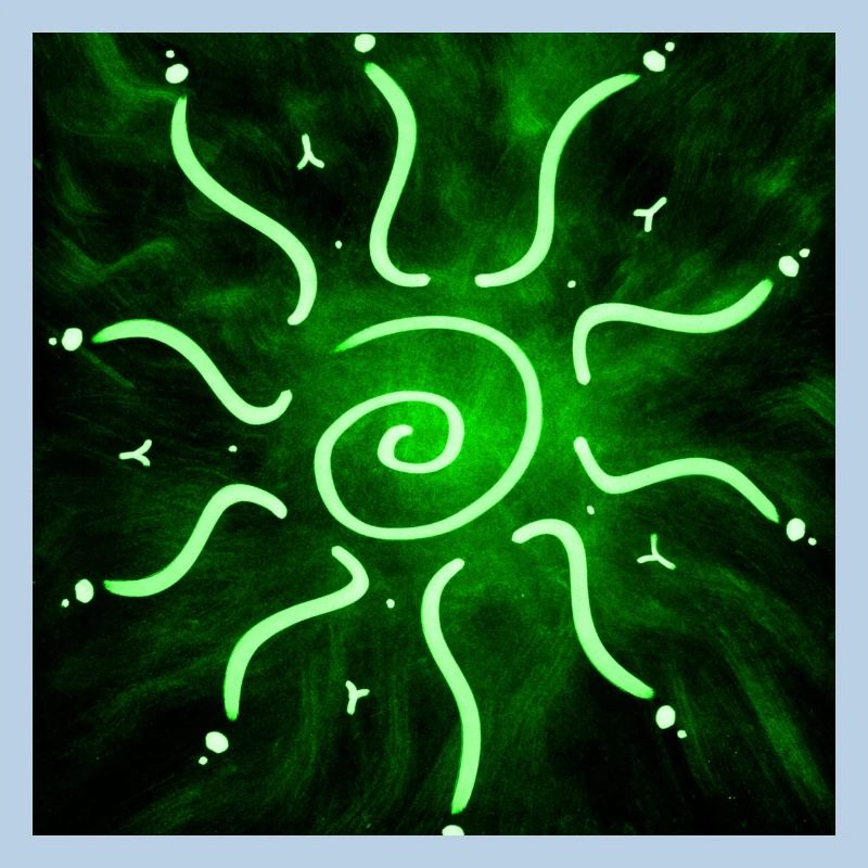 SOLEIL VERT CHAUD