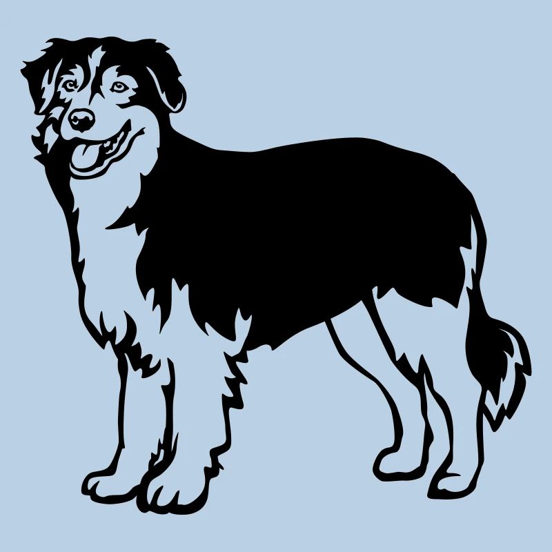 Australian Shepherd