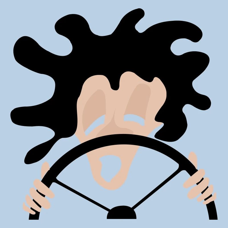 Fahrer