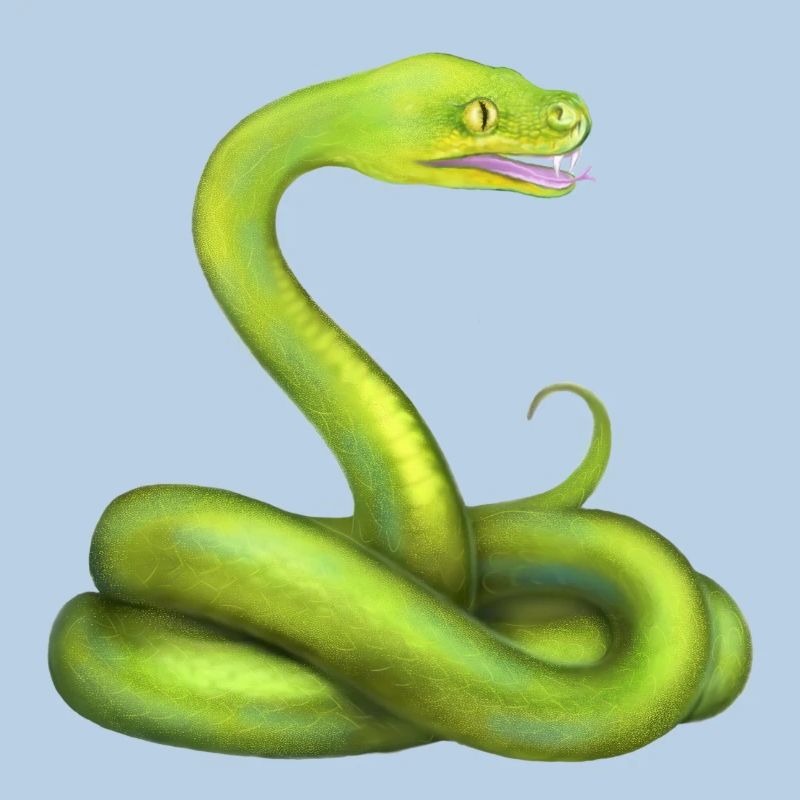 L’animal de la jungle du serpent python vert