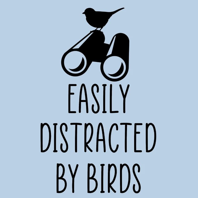 distracted by birds