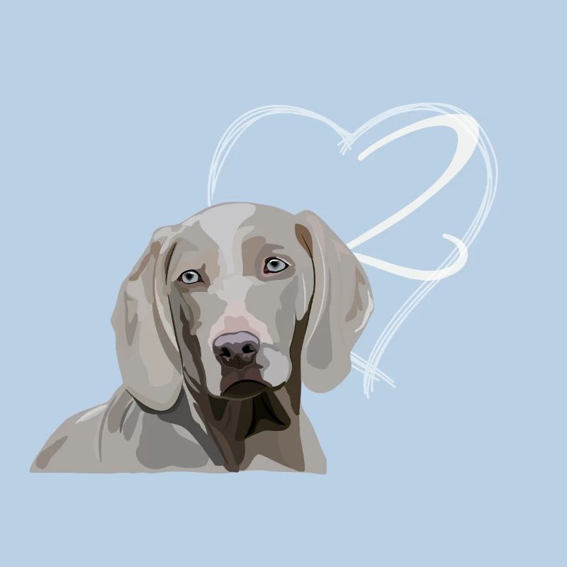 Weimaraner - 2nd birthday