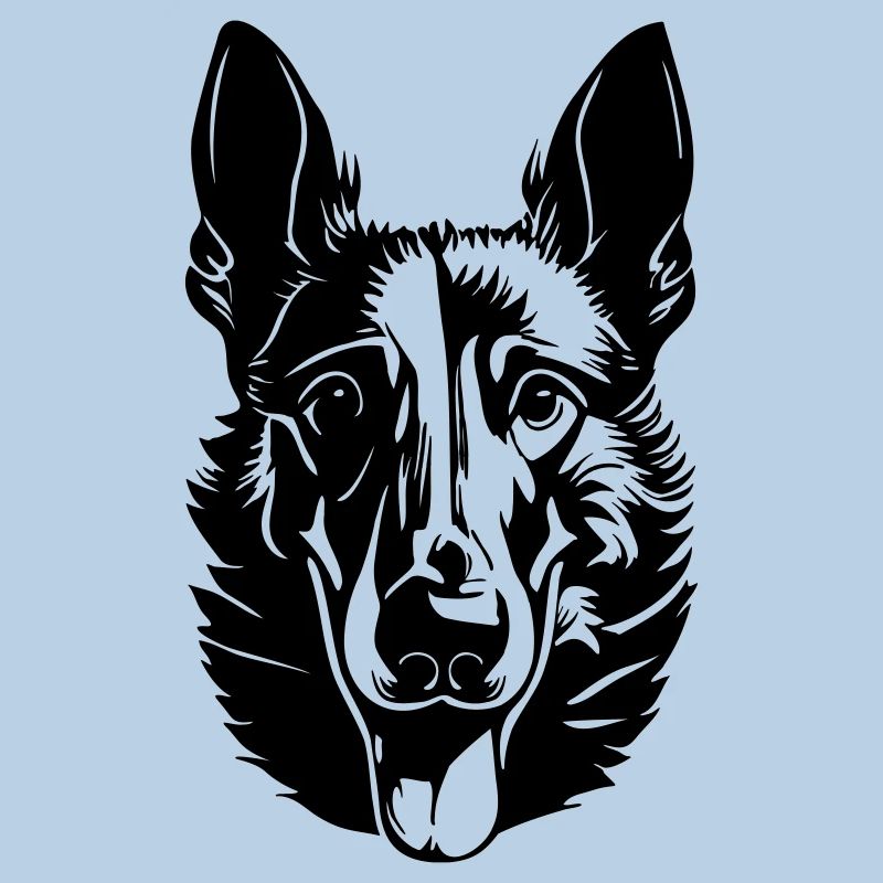 Belgischer Schäferhund