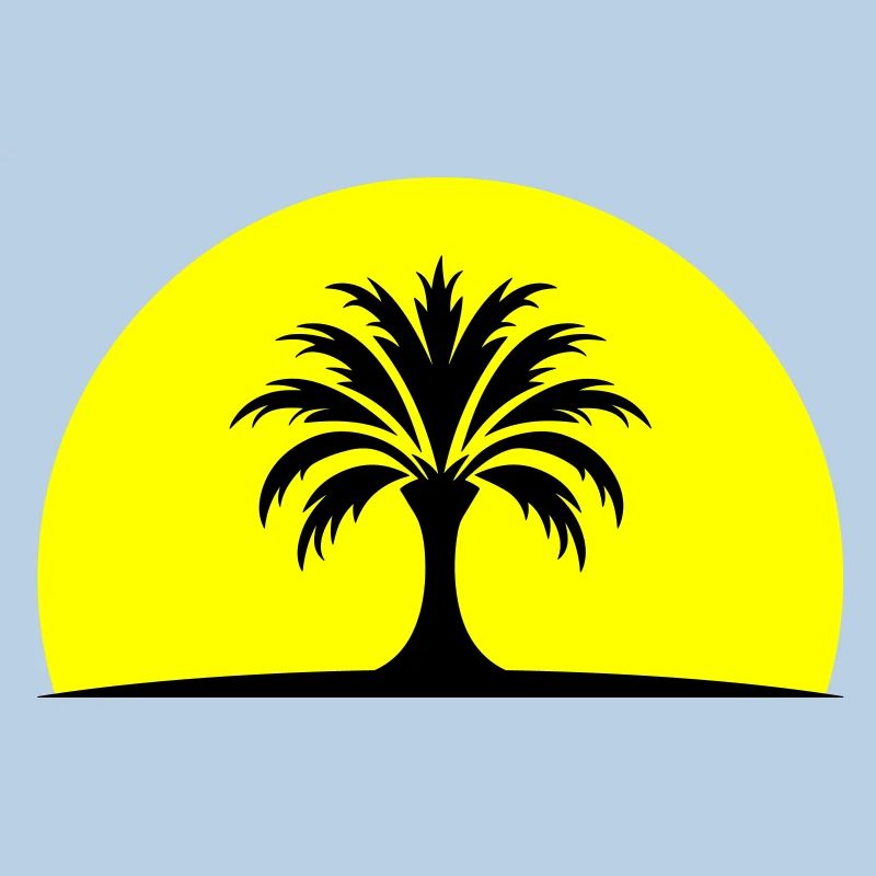 Île Sun Palm
