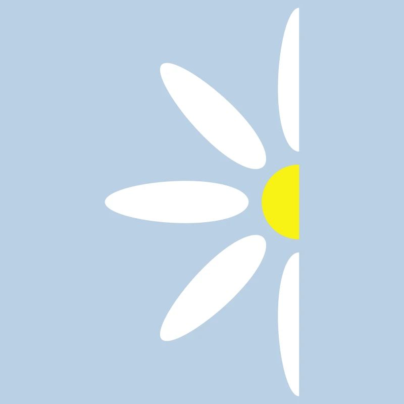 Small Daisy Half Flower White Decorative Beautiful