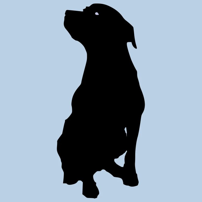 Chien