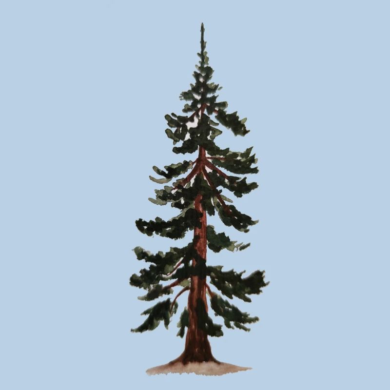 Arbre