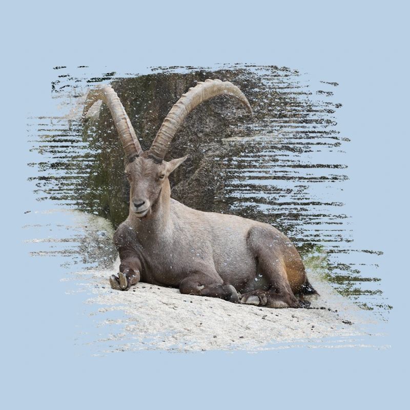 Steinbock als Sternzeichen und Wappentier