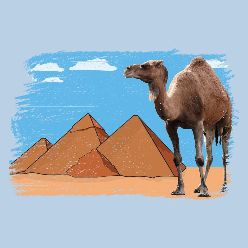Kamel vor Pyramiden