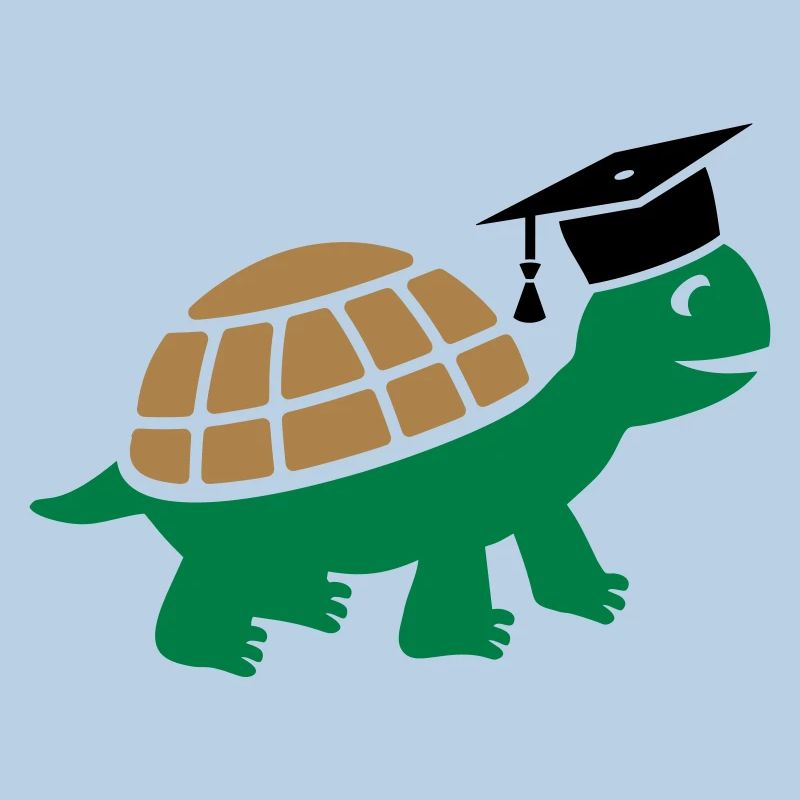 Turtle with doctoral hat Doctoral thesis Study