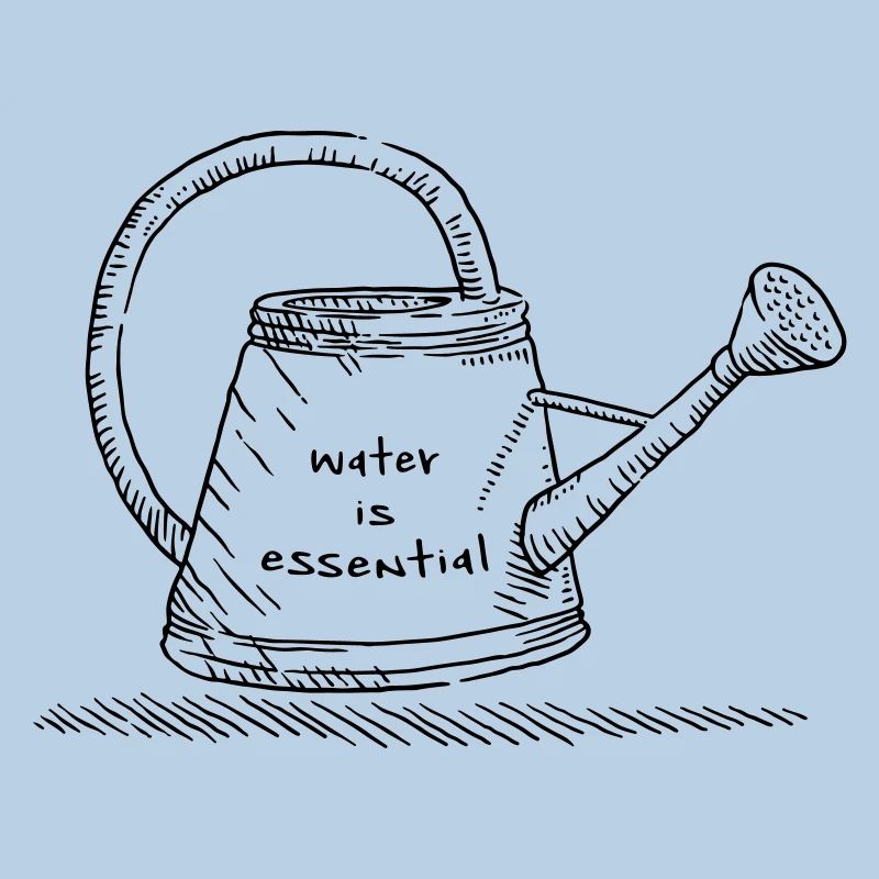 water is essential