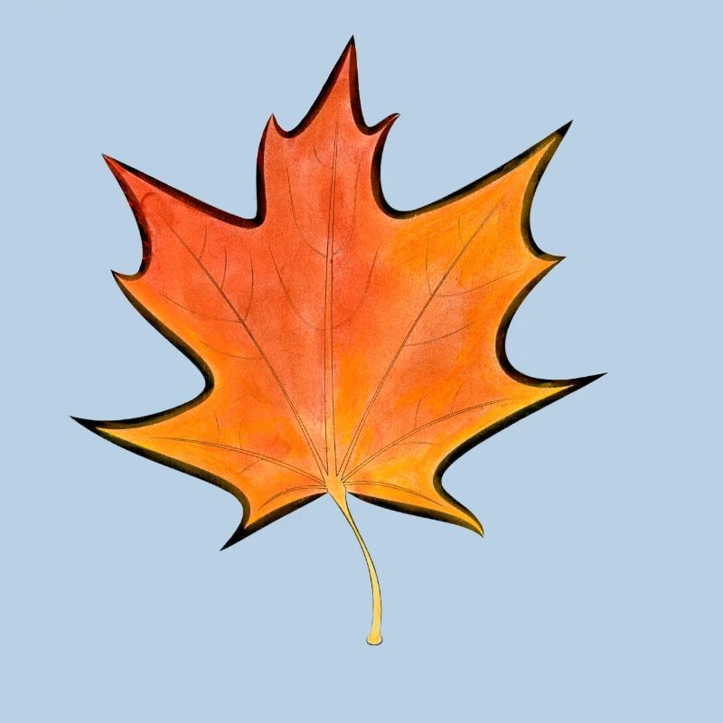 Maple leaf