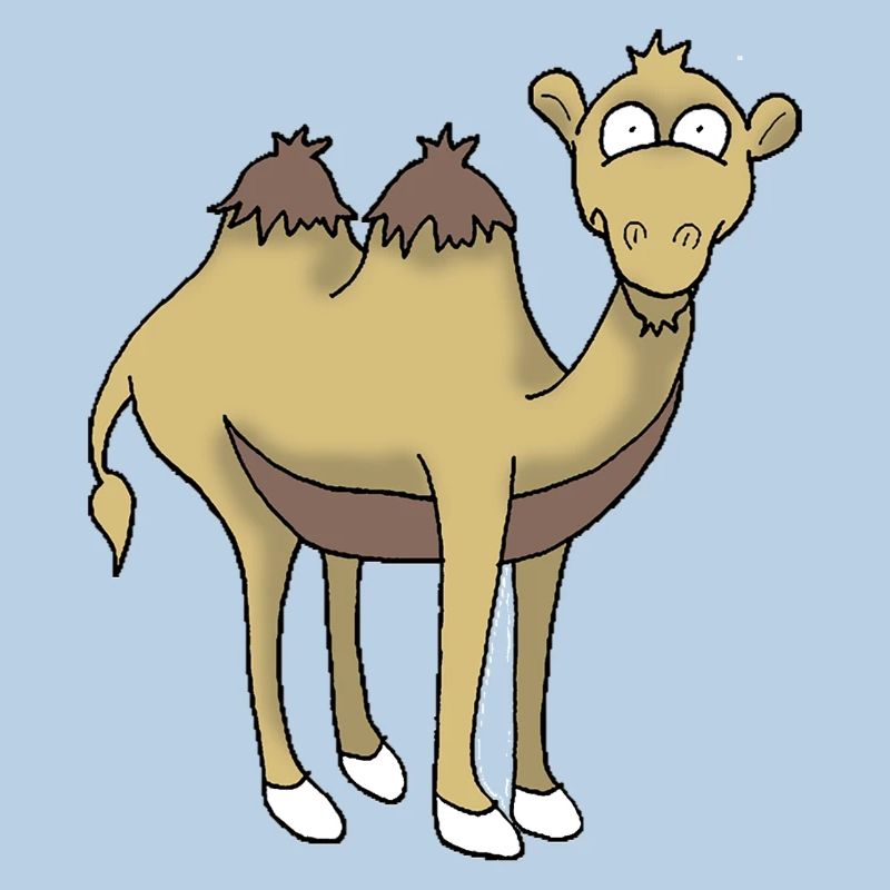 Kamel