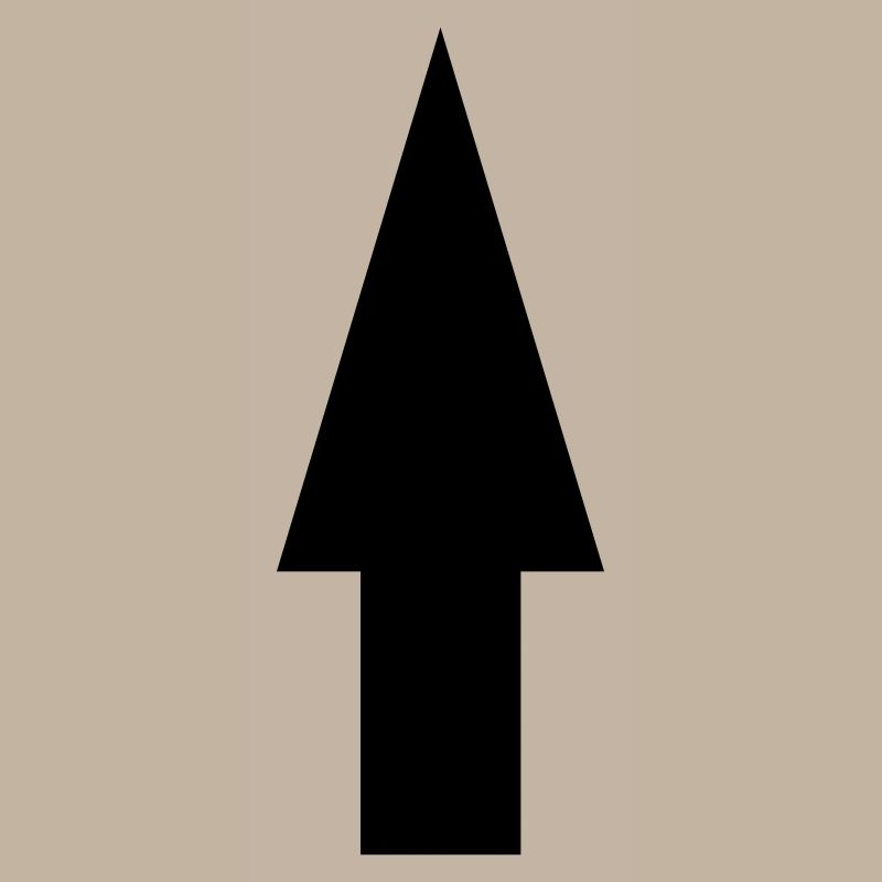 flèche