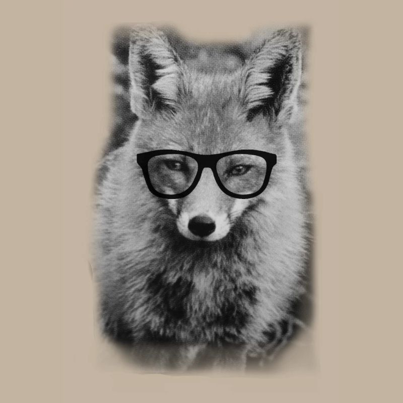Nerd Fox