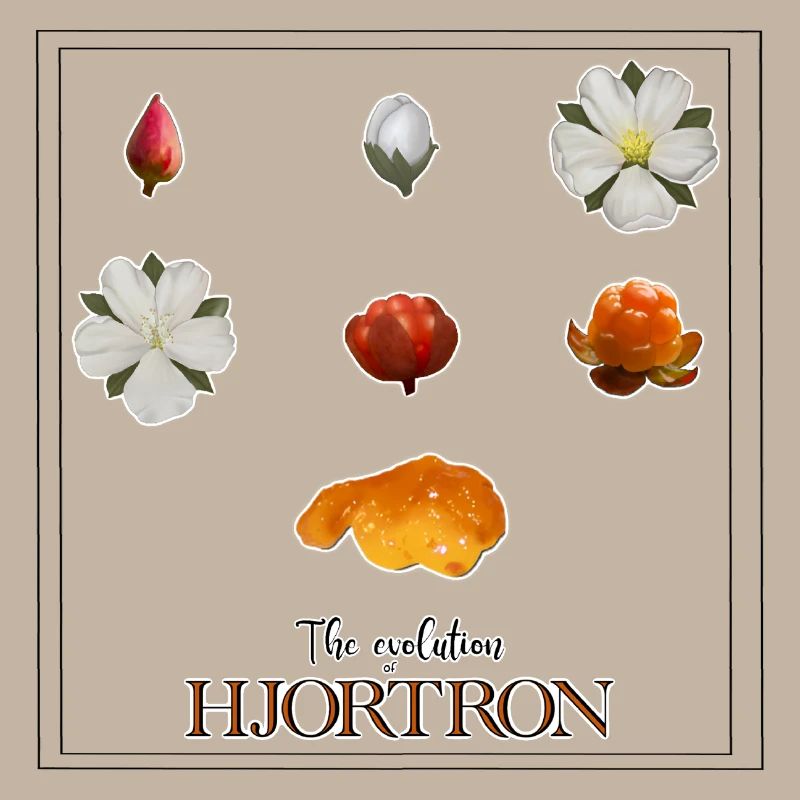 The Evolution of Hjortron, with framing