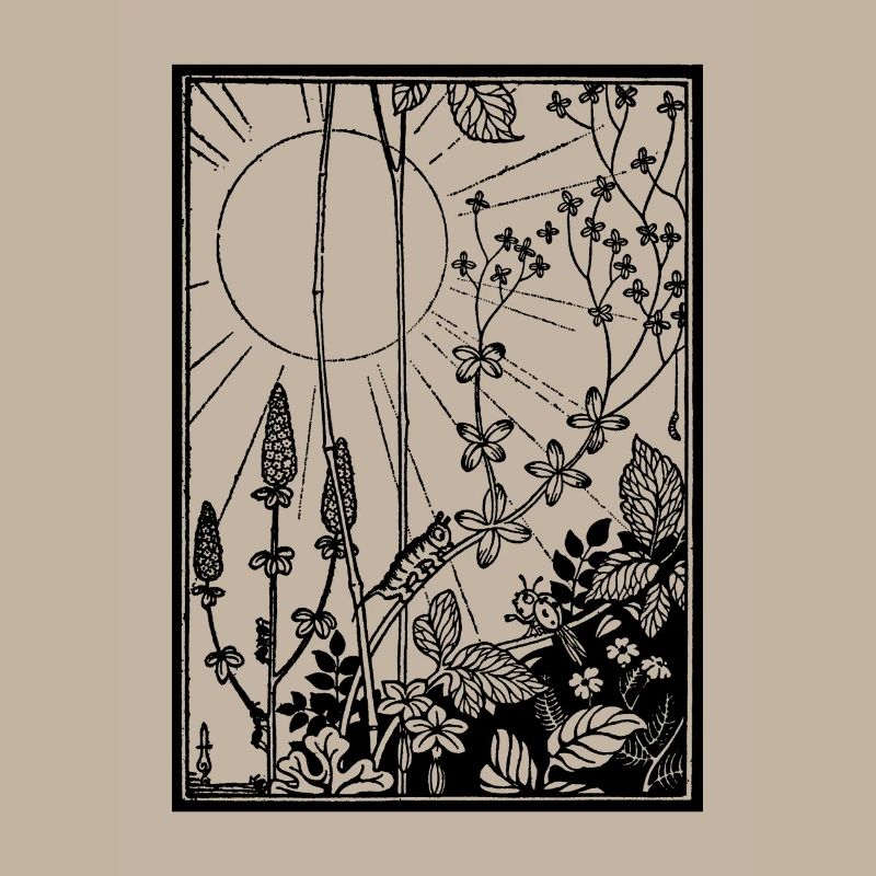 Sun & Bugs