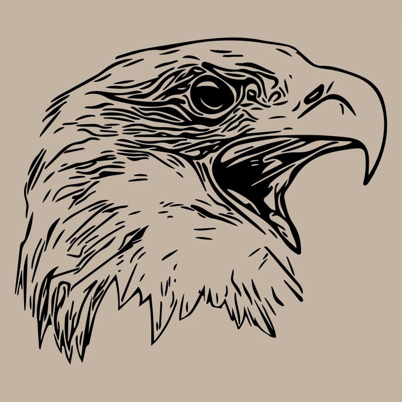 Tête d’aigle - Oiseau de prédant Royal Vector