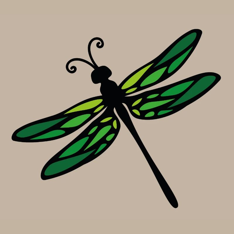 libellule