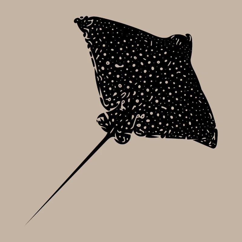 Eagle rays