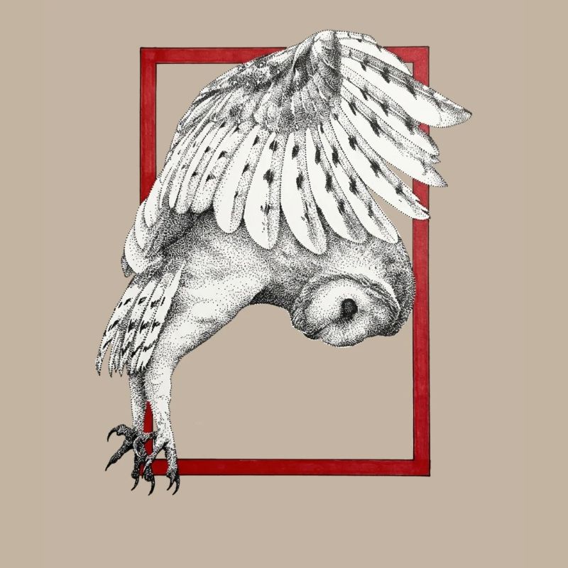 Owl with frame