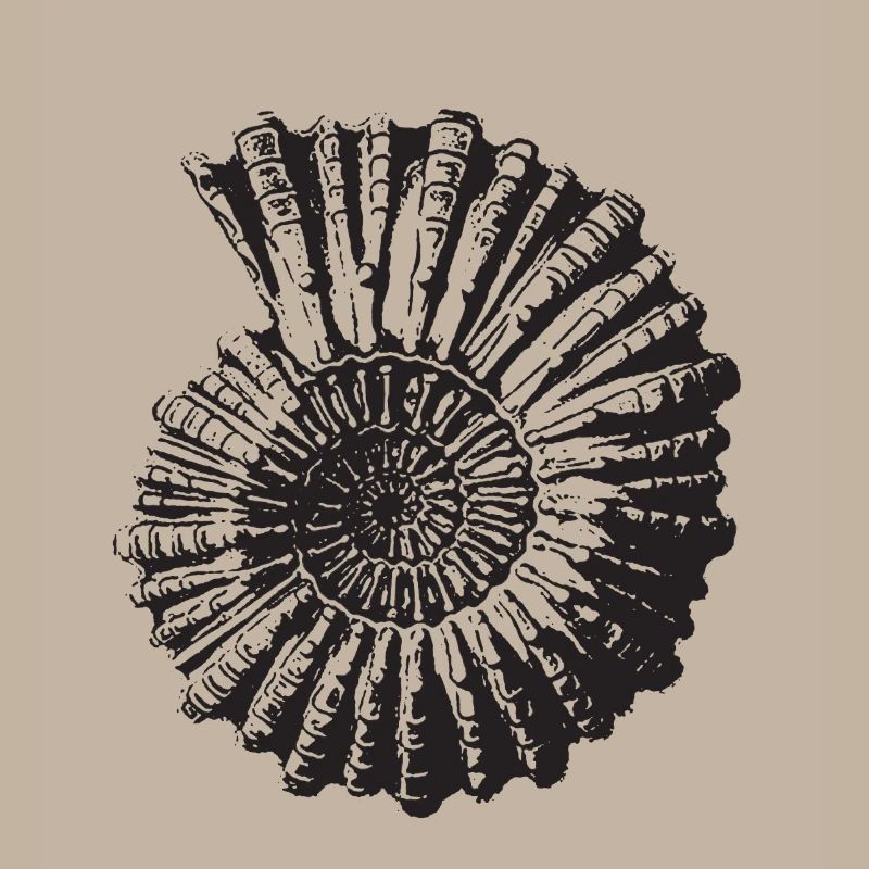 Escargot de pierre rétro