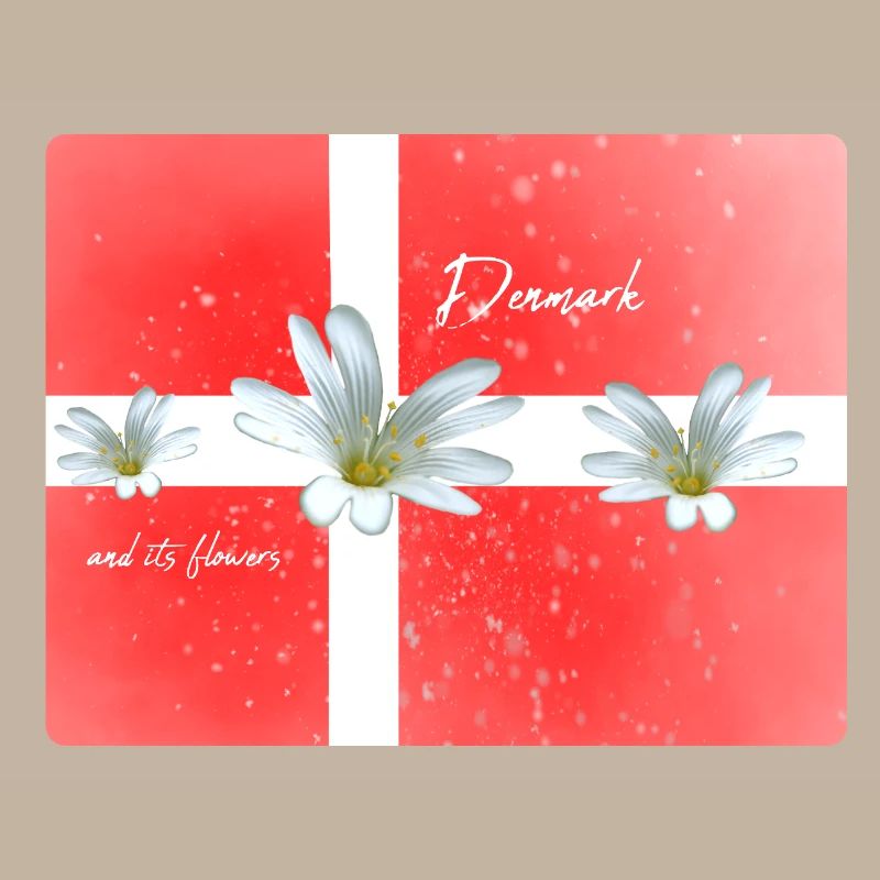 Danemark Danemark Danemark Drapeau