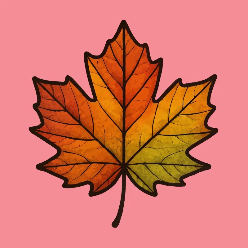 Leaf Autumn Maple Leaf