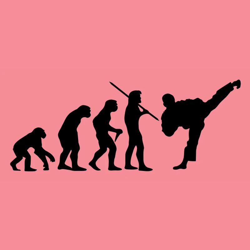 Evolution Karaté / Taek Won Do