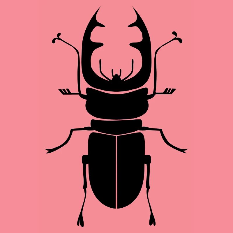 Beetle