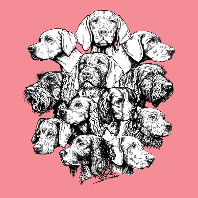 Hidden Object Pointing Dogs