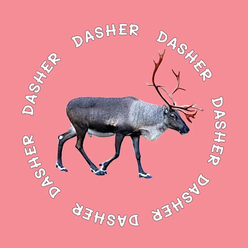 DASHER