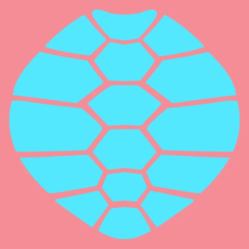 Turtle shell pattern turtle icon cool