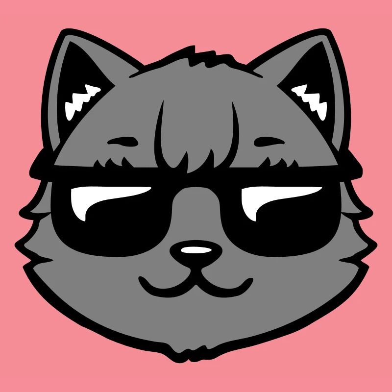 Lunettes de soleil gris chat Look cool style décontracté