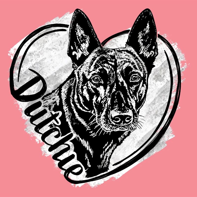 Dutch Shepherd -Dutchie 