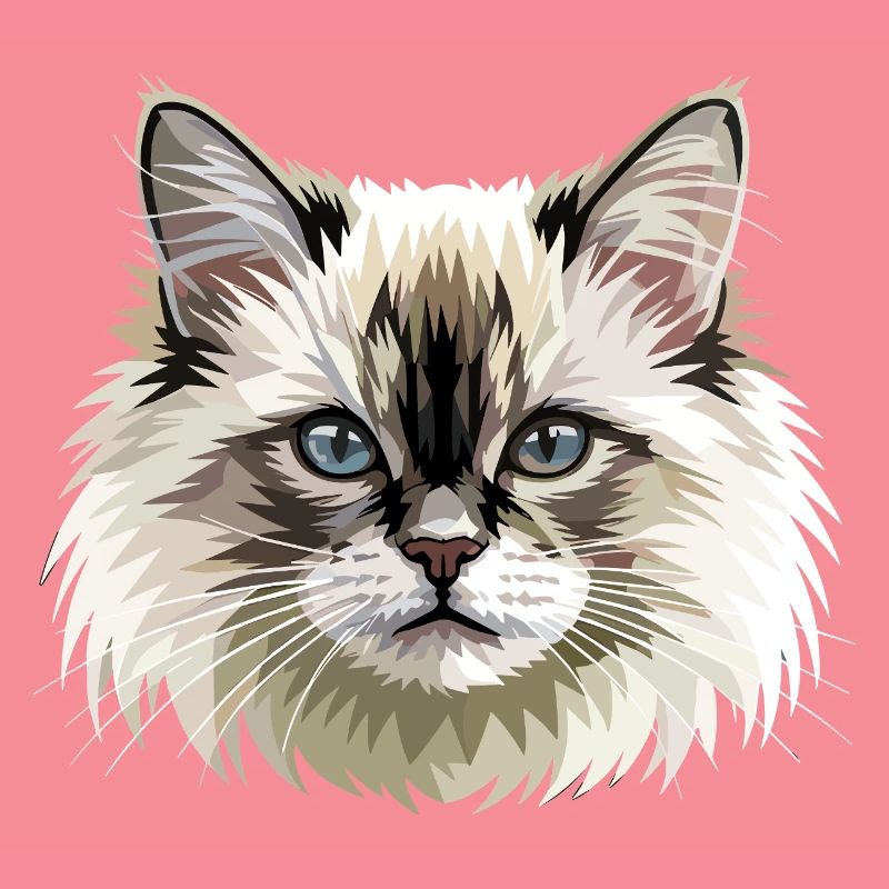 Chat Birman Chat Birman Sacré Chat Birman Mignons Chats Birman