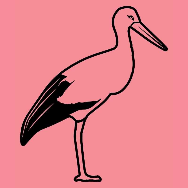 Stork