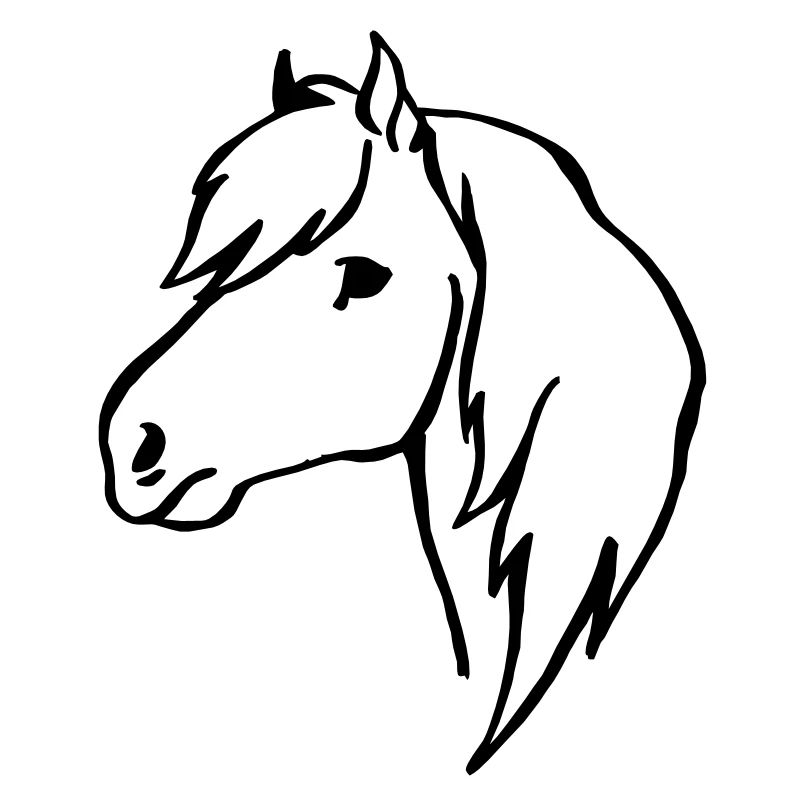Pony