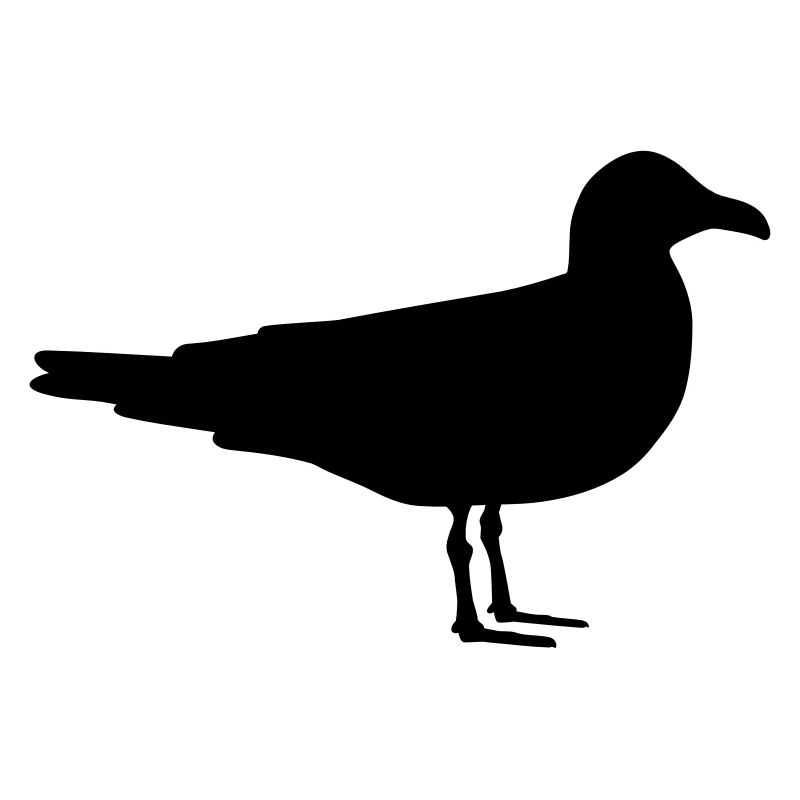 Seagull